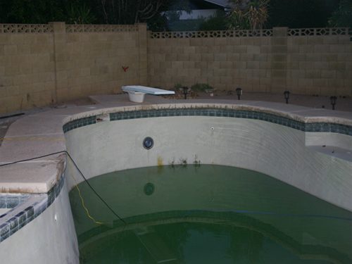 A green pool before cleanup by Arizona Pool Service