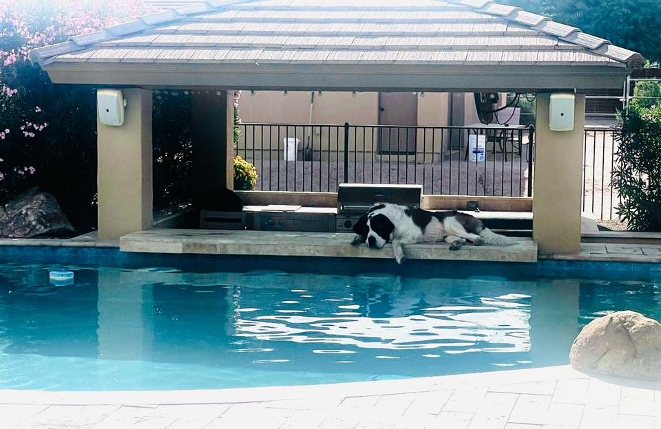 Contact Us, Arizona Pool Service
