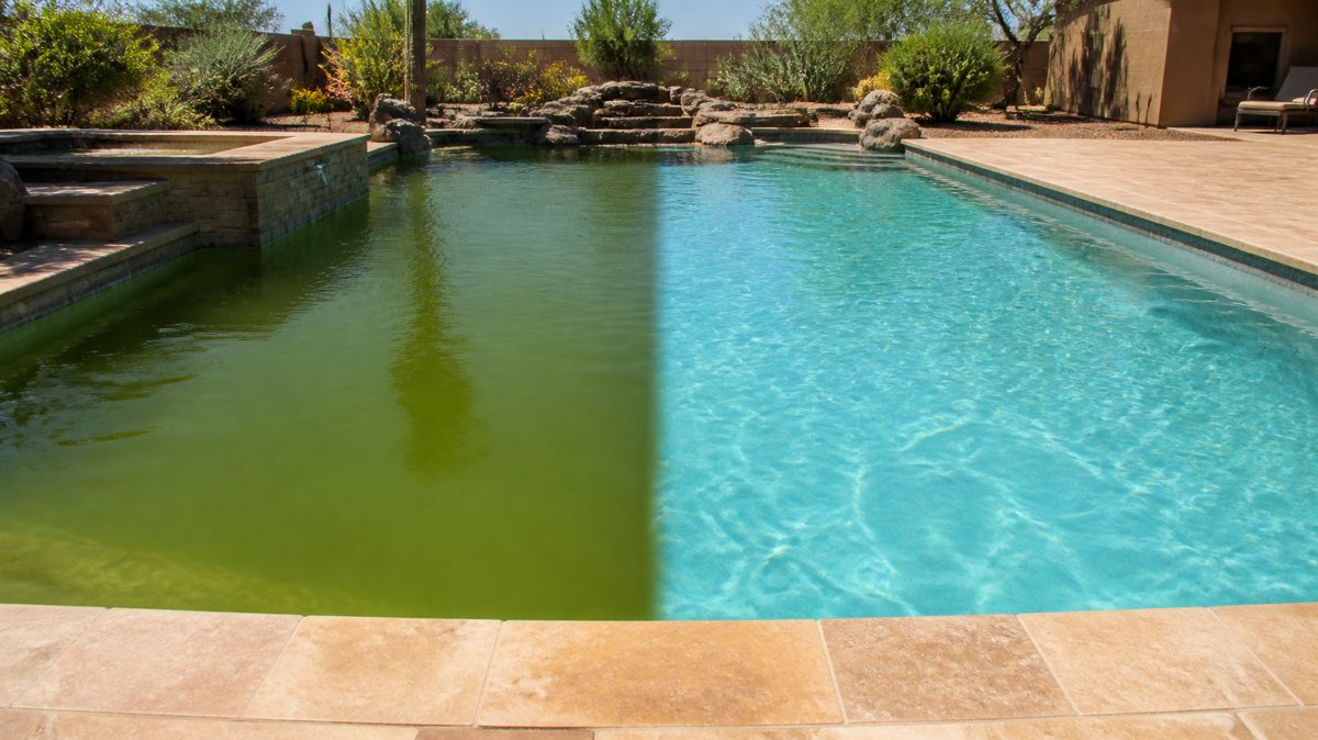 Green pool next to a cleaned blue pool