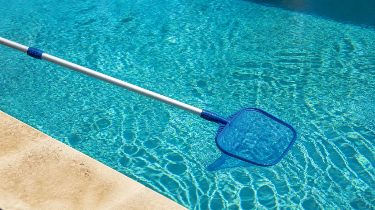 Skimming leaves from a pool